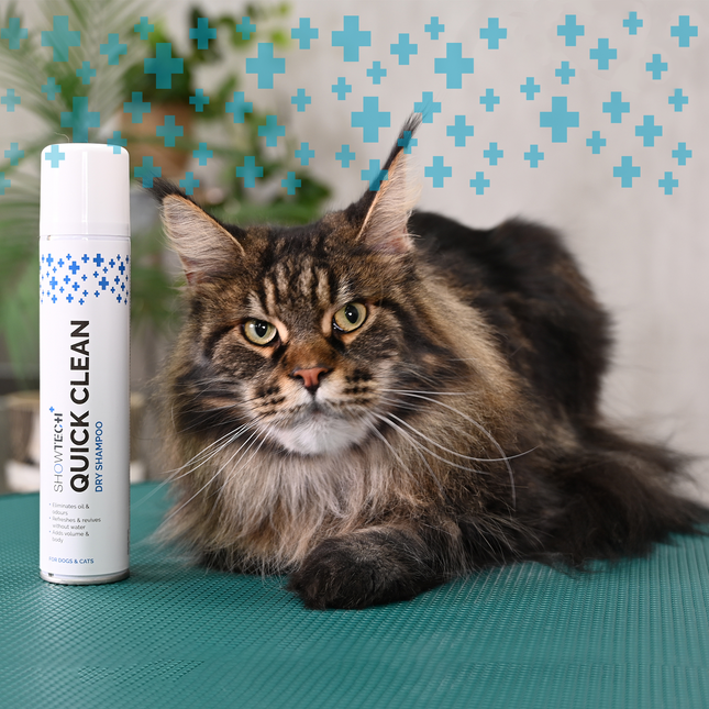 Show Tech+ Dry Shampoo - texturizing dry shampoo spray for dogs and cats