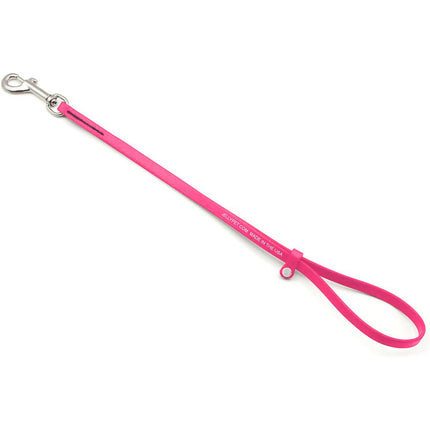 Jelly Pet Grooming Loop 1.27x60.96cm - professional grooming leash, waterproof and durable