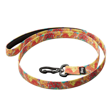 Julius - K9 MoreColor Leash Crazy - Crazy Pattern Tape Leash for Dogs