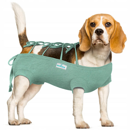 Recowear postoperative outfit for dogs and cats