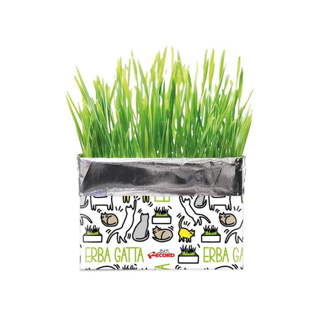 Cat Grass Record Erba Gatta - rye seeds in a growing package, for hairballs