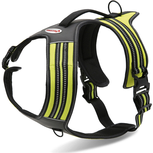 Record Action Alpi Harness - very comfortable reflective harness for dogs