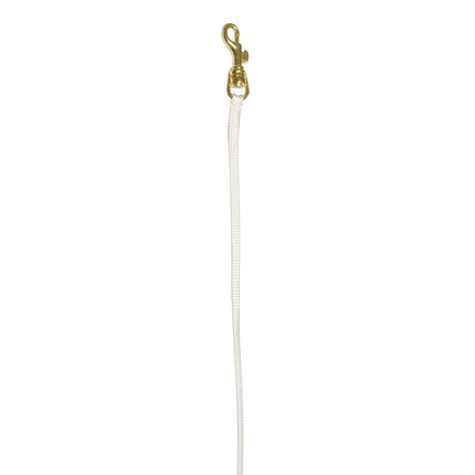 Show Tech Nylon Lead With Gold Hook 0.3x84cm - professional dog lead, white with a gold clip