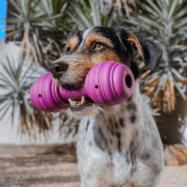 PetSafe Busy Buddy Chuckle - treat-dispensing chew toy for dogs, in the shape of a dumbbell