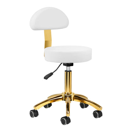 Activ AM - 304G Gold White - gold grooming chair/stool with height adjustment, removable backrest, white