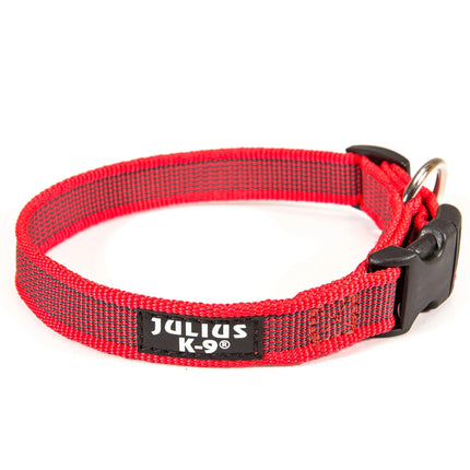 Julius K9 Color & Grey Collar - durable collar for dogs