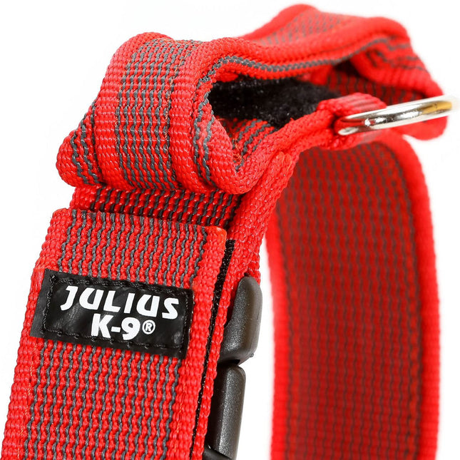 Julius K9 Color & Gray Collar with Handle - dog collar with handle and safety lock