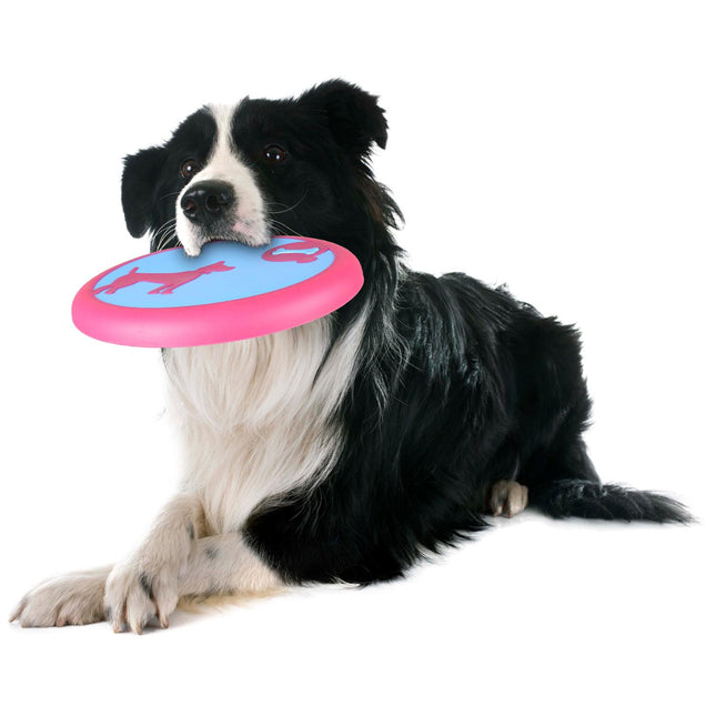 Flamingo Amelia Flying Disc - rubber frisbee for dogs