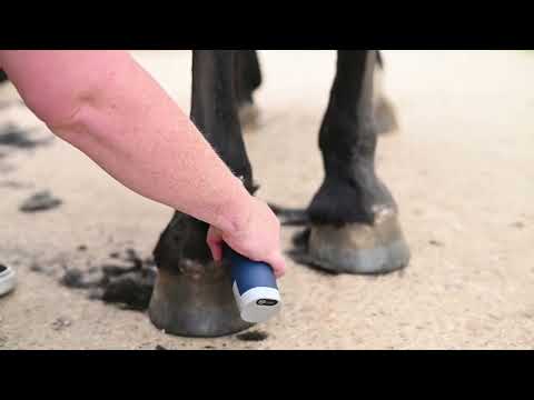 Lister Eclipse - professional cordless clipper for grooming horses and cattle