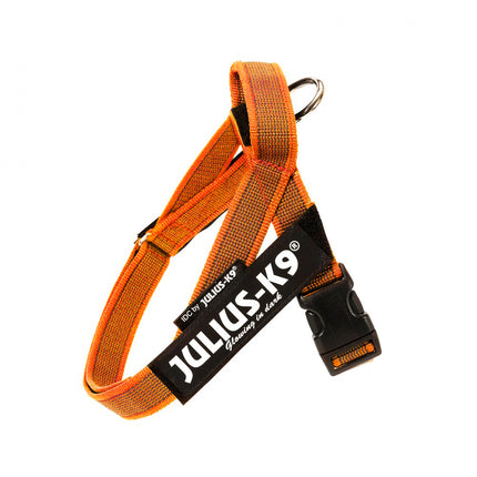 Julius - K9 IDC Color & Gray Belt Harness - harness for dogs - Mini - Mini