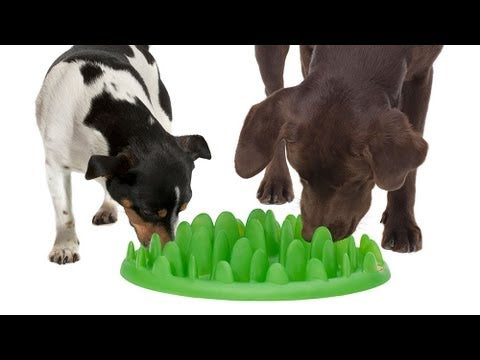 Northmate Green Slow Feeder - slow feeding bowl for dogs of all breeds - dark green