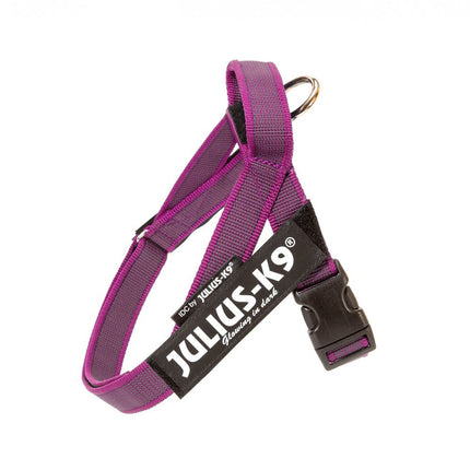 Julius - K9 IDC Color & Gray Belt Harness Pink - dog harness, fuchsia - Mini - Mini