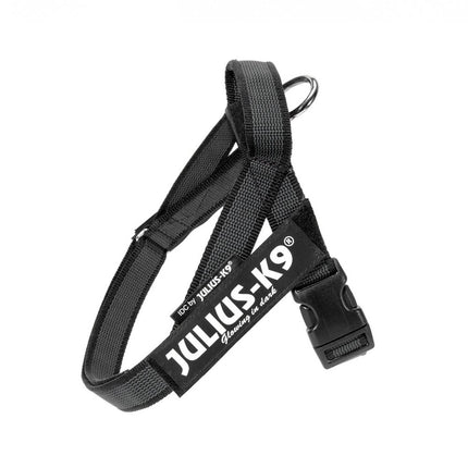 Julius - K9 IDC Color & Gray Belt Harness - harness for dogs - Mini - Mini