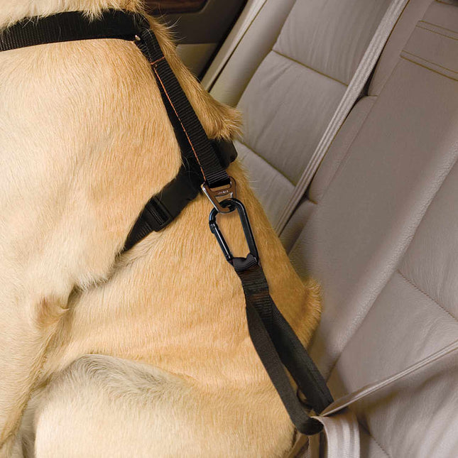 Kurgo Seatbelt Tether - Dog Seatbelt for Kurgo Tru Fit Harness