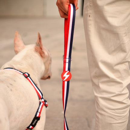 Dashi Stripes Red & Blue Front Harness - Norwegian harness for dogs, no-pull, red and blue stripes