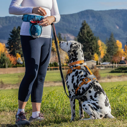 Kurgo RSG Active Belt - running belt for dogs