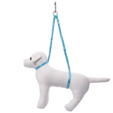 Groom Professional Dual Noose - double grooming leash, with dog paw prints