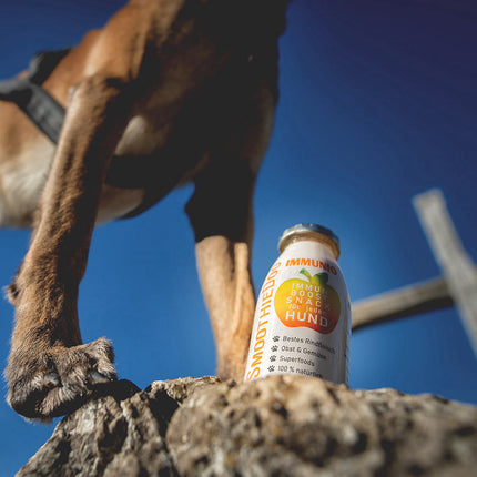 SmoothieDog Immunio - smoothie for dogs, supporting the immune system