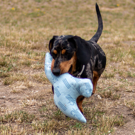 Kiwi Walker 4 Elements Eco Bird - eco-friendly dog toy, minimalist bird