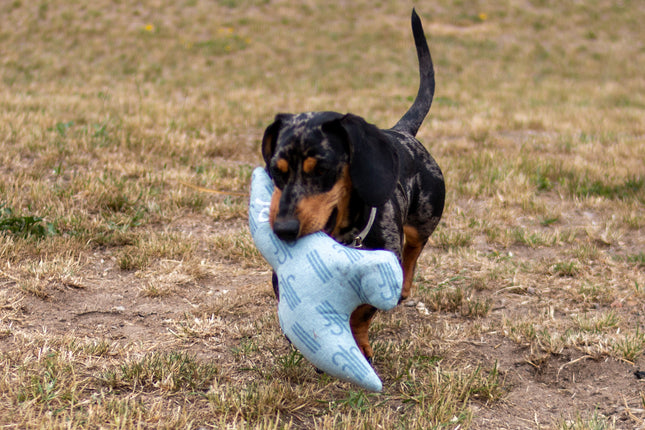 Kiwi Walker 4 Elements Eco Bird - eco-friendly dog toy, minimalist bird