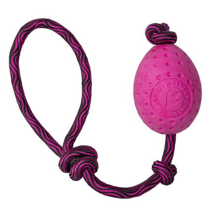 Kiwi Walker Let's Play Egg - dog toy, egg on a string