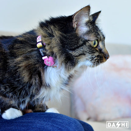 Dashi Donut Cat Collar - colorful cat collar, donut pattern