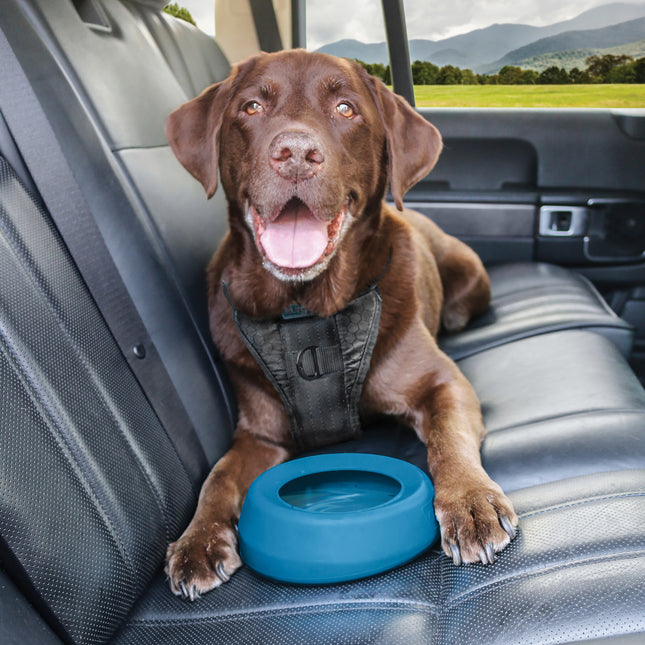 Kurgo Splash Free Wander Dog Water Bowl - splash-proof dog bowl