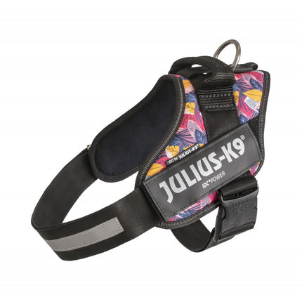 Julius - K9 IDC Powerharness Leaf2 - high-quality harness for dogs with an interesting design