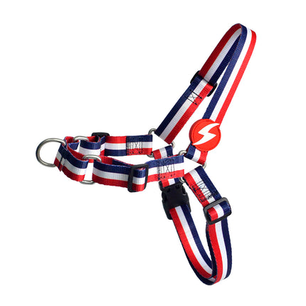 Dashi Stripes Red & Blue Front Harness - Norwegian harness for dogs, no-pull, red and blue stripes