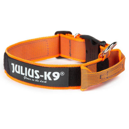 Julius K9 Color & Gray Collar with Handle - dog collar with handle and safety lock