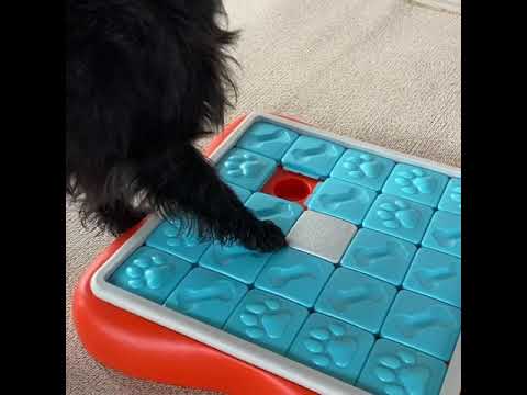 Nina Ottosson Dog Challenge Slider Level - intelligent educational game for dogs, level