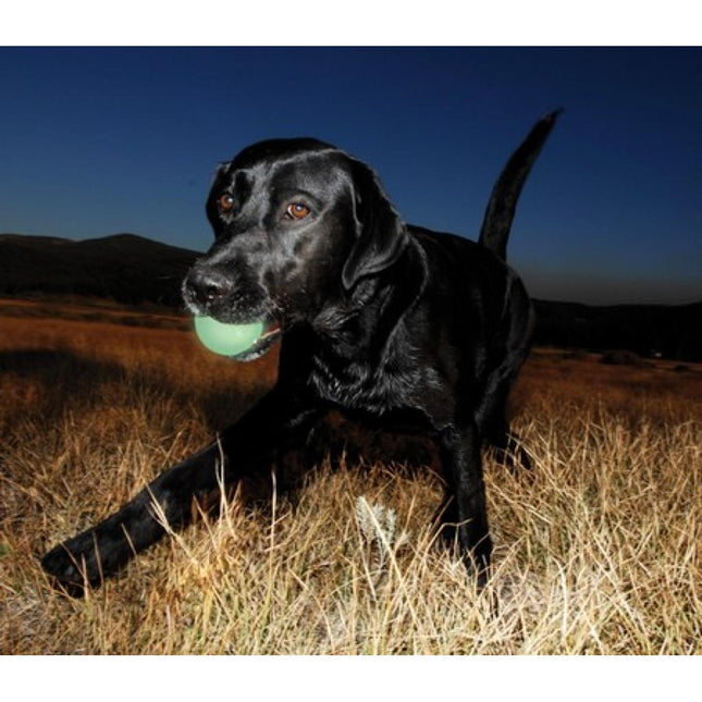 Chuckit! Max Glow Ball Large - glowing ball for dogs, fluorescent