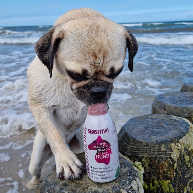 SmoothieDog Sensitivo - smoothie for dogs with food allergies, with horse meat