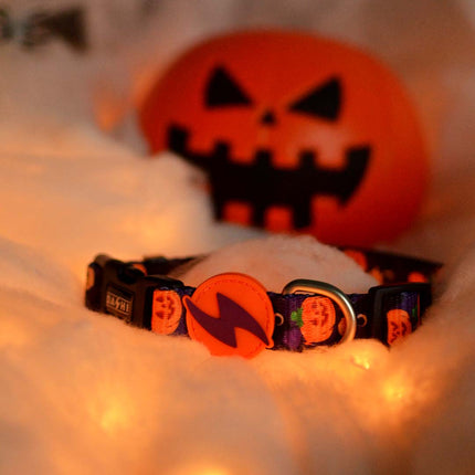 Dashi Pumpkin Collar - dog collar, Halloween pumpkin pattern