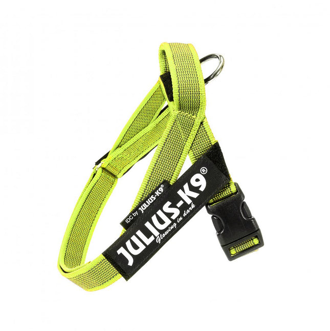 Julius - K9 Color & Gray Belt Harness Neon - dog harness, neon