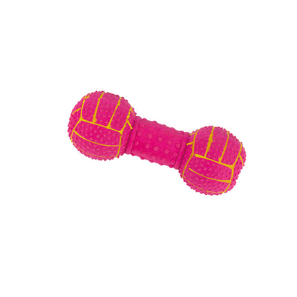 Record Latex Dumbbell - rubber chew toy for dogs with protrusions