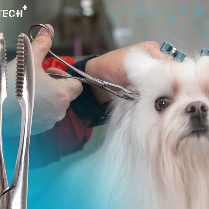 Show Tech Safety Ear Forceps - Straight Ear Hair Removal Tweezers for Dogs