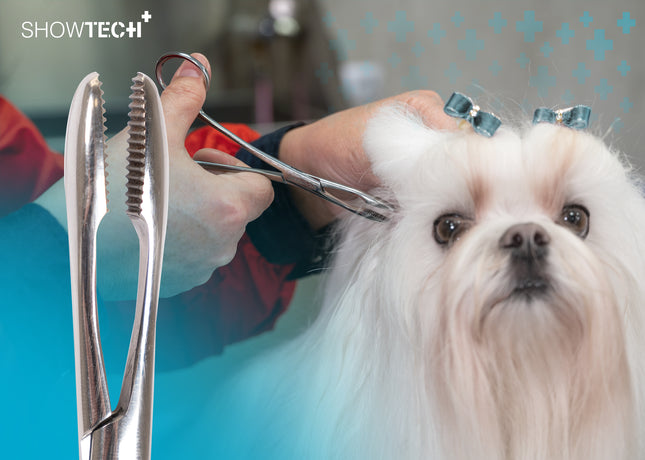 Show Tech Safety Ear Forceps - Straight Ear Hair Removal Tweezers for Dogs