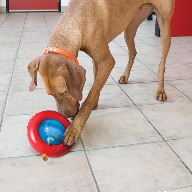 KONG Gyro - interactive treat ball for dogs, with a rolling and pushing ring