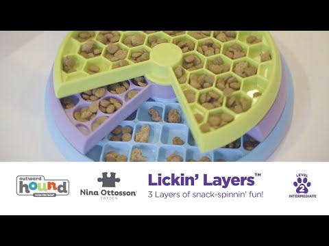 Nina Ottosson Lickin' Layers Level - educational game and slow feeder bowl for dogs, level