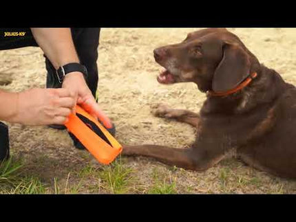 Julius - K9 Multidummie One Hand - multifunctional tug toy for dogs, water toy