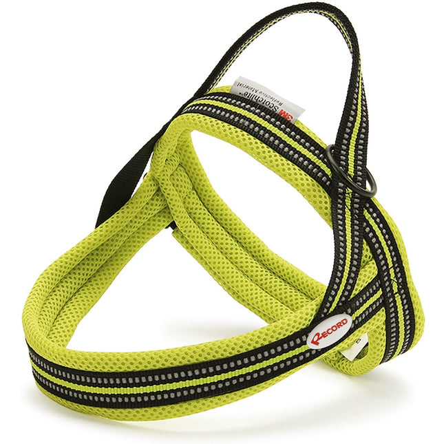 Record Action Dolomiti Harness - comfortable Scandinavian-style harness for dogs