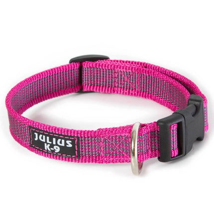 Julius K9 Color & Grey Collar - durable collar for dogs