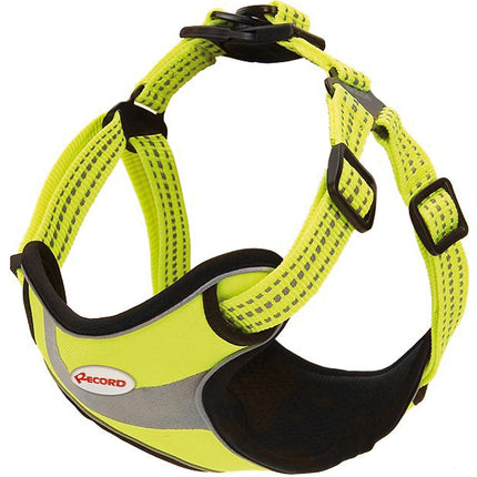 Record Action Himalaya Harness - very comfortable harness for dogs with reflective elements