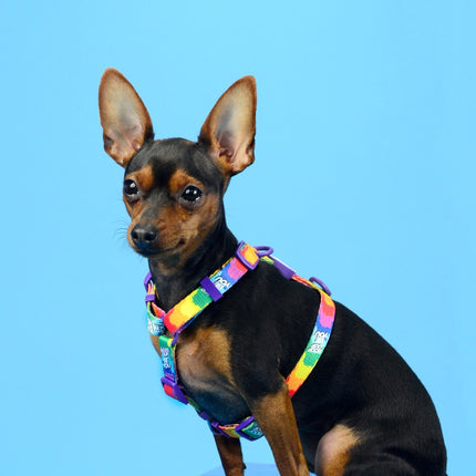 Dashi Betty You Back Harness - adjustable guard harness for dogs, pattern from the Betty Boop series