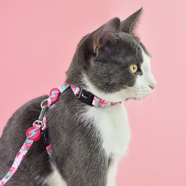 Dashi Flamingo Cat Harness + Leash - harness and leash set for cats, flamingo pattern