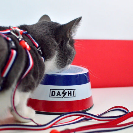 Dashi Stripes Red & Blue Cat Harness + Leash - cat harness and leash set, red and blue stripes