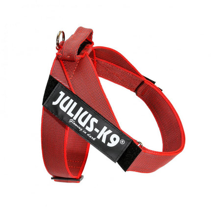 Julius - K9 IDC Color & Gray Belt Harness - dog harness, belt harness