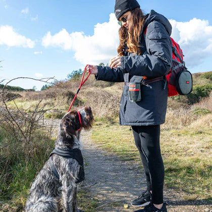 KONG Travel Pick-Up Pouch - bag for used dog waste bags