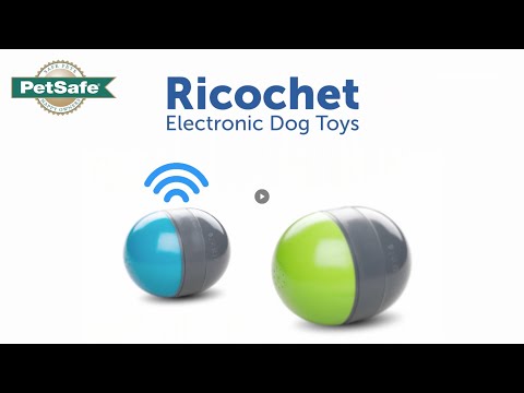 PetSafe Ricochet Electronic Dog Toy - interactive toy for dogs, squeaky balls